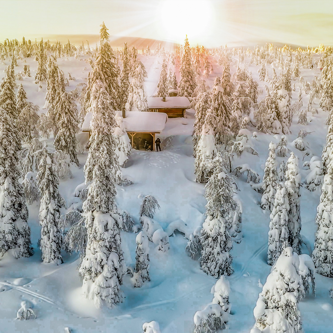 8 jours en Laponie Finlandaise avec Marie.bucketlist du 27 janvier au 3 février