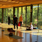 Retraite yoga à la Forêt de Loches avec @Sachayoga du 11 au 13 octobre 2024
